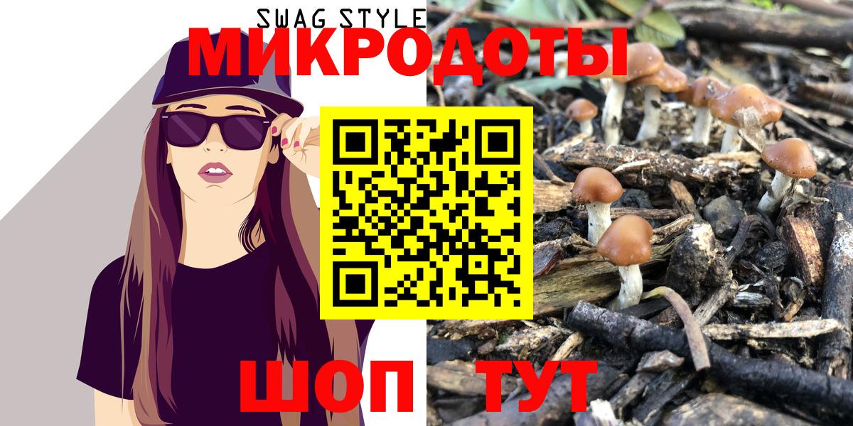 Псилоцибиновые грибы Psilocybine cubensis  где найти   Ногинск  Вход с VPN 