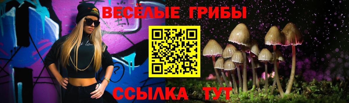 Галлюциногенные грибы Psilocybine cubensis Ногинск